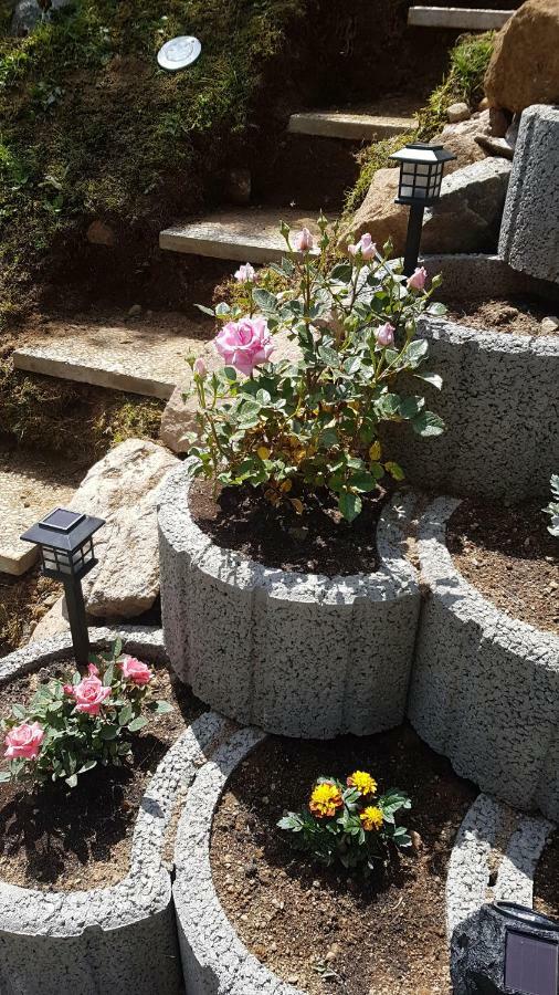 דירות סאן בלאסיין Haus Am Scheibenfelsen מראה חיצוני תמונה