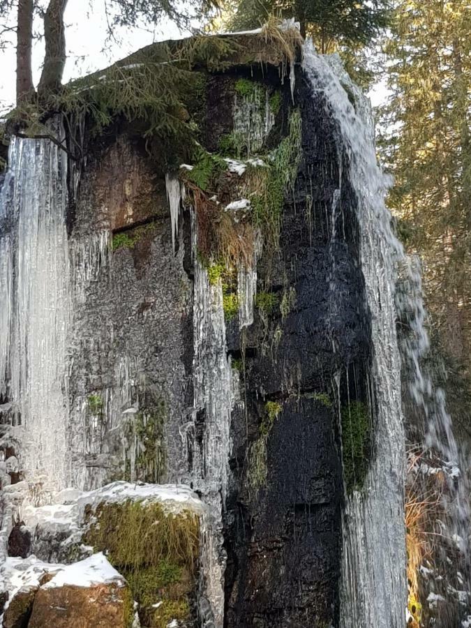 דירות סאן בלאסיין Haus Am Scheibenfelsen מראה חיצוני תמונה